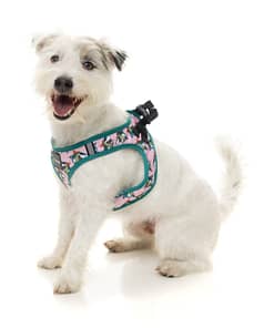 FuzzYard Step In Harness -LL Cool Jaw$
