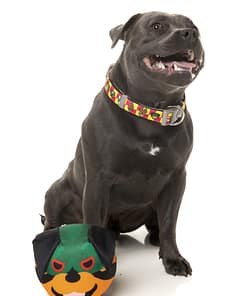 FuzzYard Dog Toy - Doggoforce Rumble