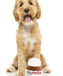 FuzzYard Dog Toy - Mutella