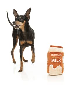 FuzzYard Dog Toy - Chocolate Almond Milk