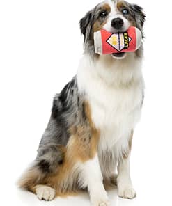 FuzzYard Dog Toy - Can Of Beer