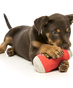 FuzzYard Dog Toy - Can Of Beer