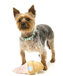Dog Toy - Ice Cream
