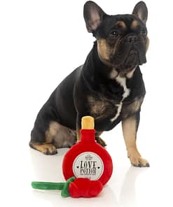 FuzzYard Dog Toy - I Heart you Potion/Rose - 2 Pack