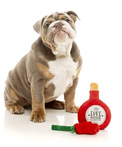 FuzzYard Dog Toy - I Heart you Potion/Rose - 2 Pack