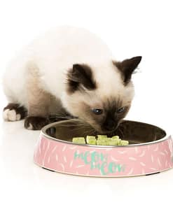 FuzzYard Featherstorm - Melamine Cat Bowl