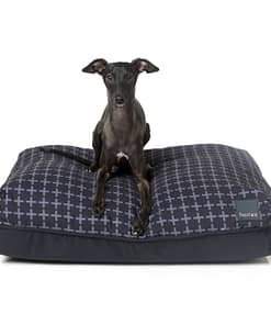 Yeezy Big Dreamer Pet Pillow