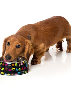 FuzzYard Easy Feeder Pet Bowl - Space Raiders