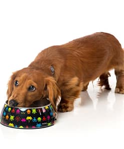 FuzzYard Easy Feeder Pet Bowl - Space Raiders