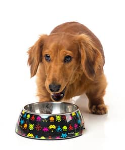 FuzzYard Easy Feeder Pet Bowl - Space Raiders