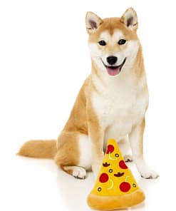 FuzzYard Dog Toy - Pizza
