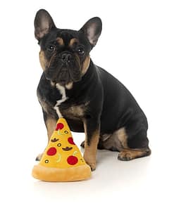 FuzzYard Dog Toy - Pizza
