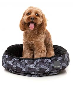 FuzzYard Reversible Beds - Kapalua