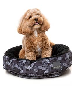 FuzzYard Reversible Beds - Kapalua