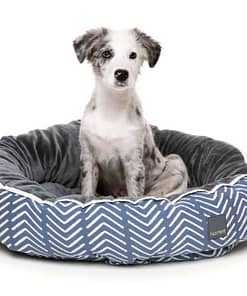 Sacaton Reversible Bed