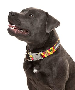 Doggoforce Collar