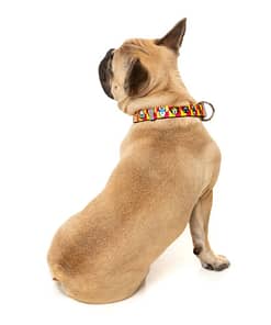 Doggoforce Collar