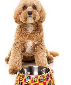 FuzzYard Easy Feeder Pet Bowl - Doggoforce