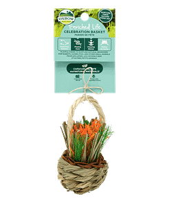 Oxbow Enriched Life - Celebration Basket for Small Animals