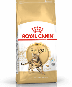 Royal Canin Bengal Adult Dry Cat Food 2KG