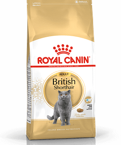 Royal Canin British Shorthair Adult Dry Cat Food 4KG