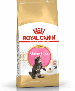 Royal Canin Maine Coon Kitten Dry Cat Food 0.4KG