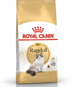 Royal Canin Ragdoll Adult Dry Cat Food 2KG