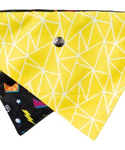 FuzzYard Bel Air Pet Bandana