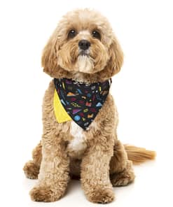 FuzzYard Bel Air Pet Bandana