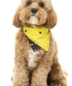 FuzzYard Bel Air Pet Bandana