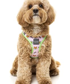 FuzzYard Step In Harness - SuShiba