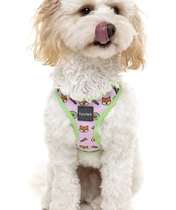 FuzzYard Step In Harness - SuShiba