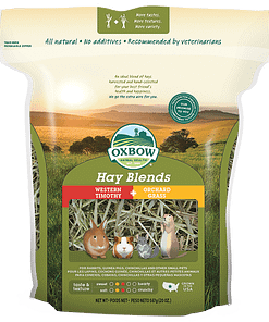 Oxbow Hay Blend - Timothy/Orchard for Small Animals