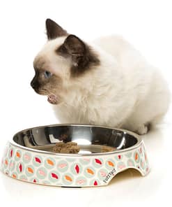 FuzzYard Sushi Delight - Melamine Cat Bowl