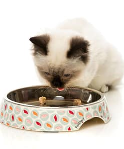 FuzzYard Sushi Delight - Melamine Cat Bowl
