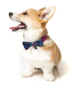 FuzzYard Multi Bowtie