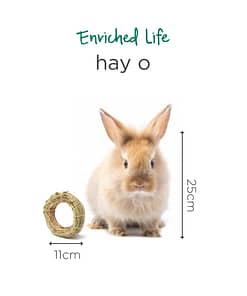 Oxbow Enriched Life - Hay-O Toy for Small Animals