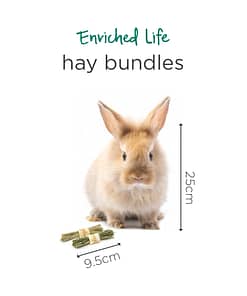 Oxbow Enriched Life - Hay Bundles Toy