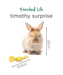 Oxbow Enriched Life - Timothy Surprise Toy for Small Animals