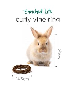 Oxbow Enriched Life - Curly Vine Ring Toy for Small Animals