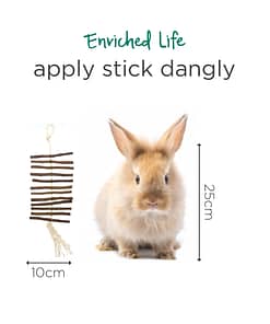 Oxbow Enriched Life - Apple Stick Dangly Toy for Small Animals
