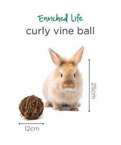 Oxbow Enriched Life - Curly Vine Ball Toy for Small Animals