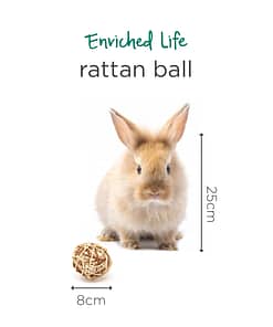 Oxbow Enriched Life - Rattan Ball Toy for Small Animals