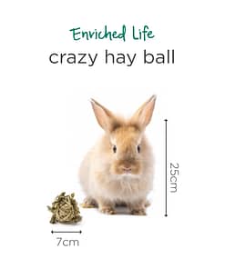 Oxbow Enriched Life - Crazy Hay Ball Toy for Small Animals