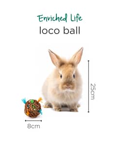 Oxbow Enriched Life - Loco Ball Toy for Small Animals