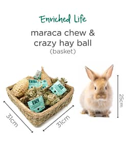 Oxbow Enriched Life - Chew & Crazy Hall Ball Basket for Small Animals