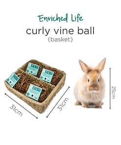 Oxbow Enriched Life - Curly Vine Ball Basket for Small Animals