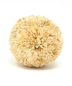 Oxbow Enriched Life - Play Pom Toy for Small Animals