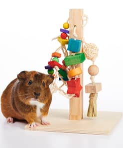 Oxbow Enriched Life - Play Post Toy for Small Animals