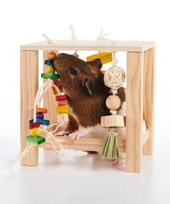 Oxbow Enriched Life - Play Table Toy for Small Animals